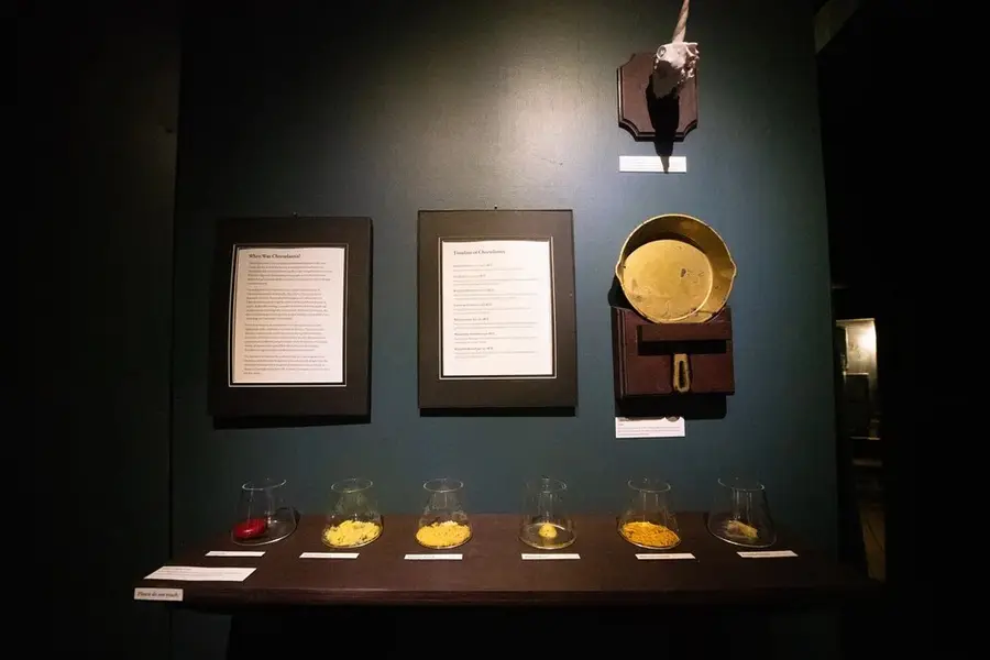 Museum of Cheeselantian Archaeology installation photo