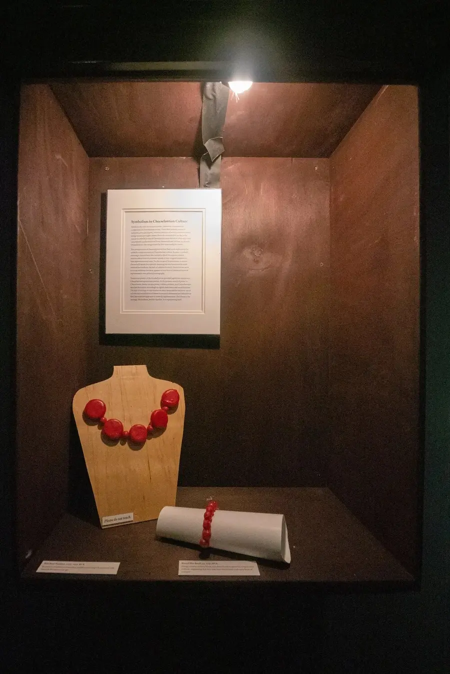 Museum of Cheeselantian Archaeology installation photo