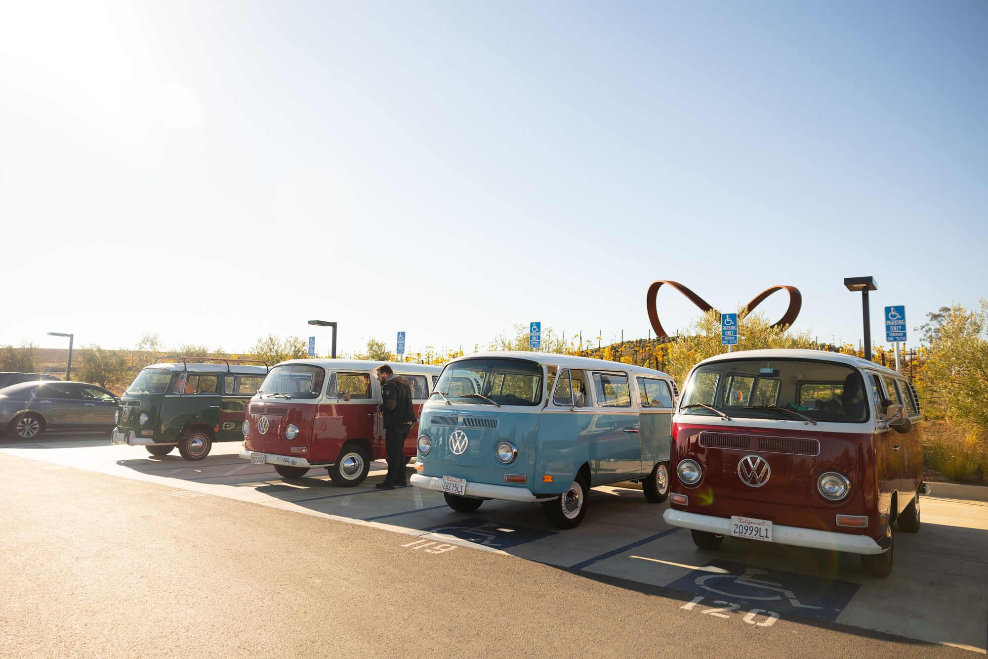 Napa Ramblers Club vintage buses