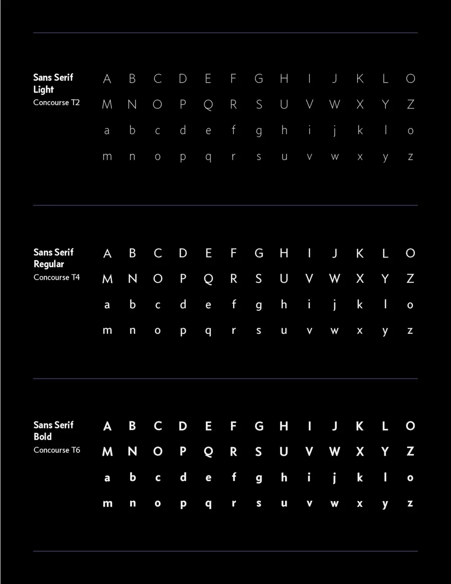 Hoax brand guidelines, page 5