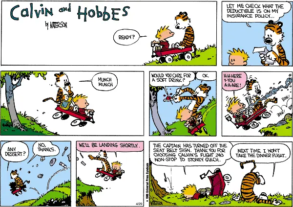 Calvin and Hobbes inspiration strip