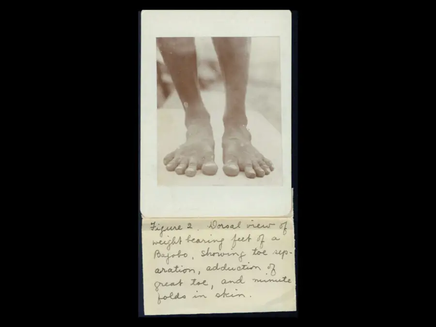 1904 Olympic Marathon talk slide 24